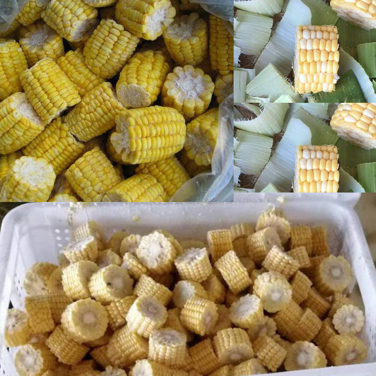 诚达鲜玉米切段设备，玉米切头去尾机器方便好用