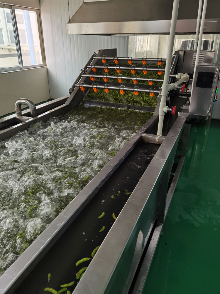大型毛豆漂烫机器 毛豆漂烫设备 毛豆杀青机器